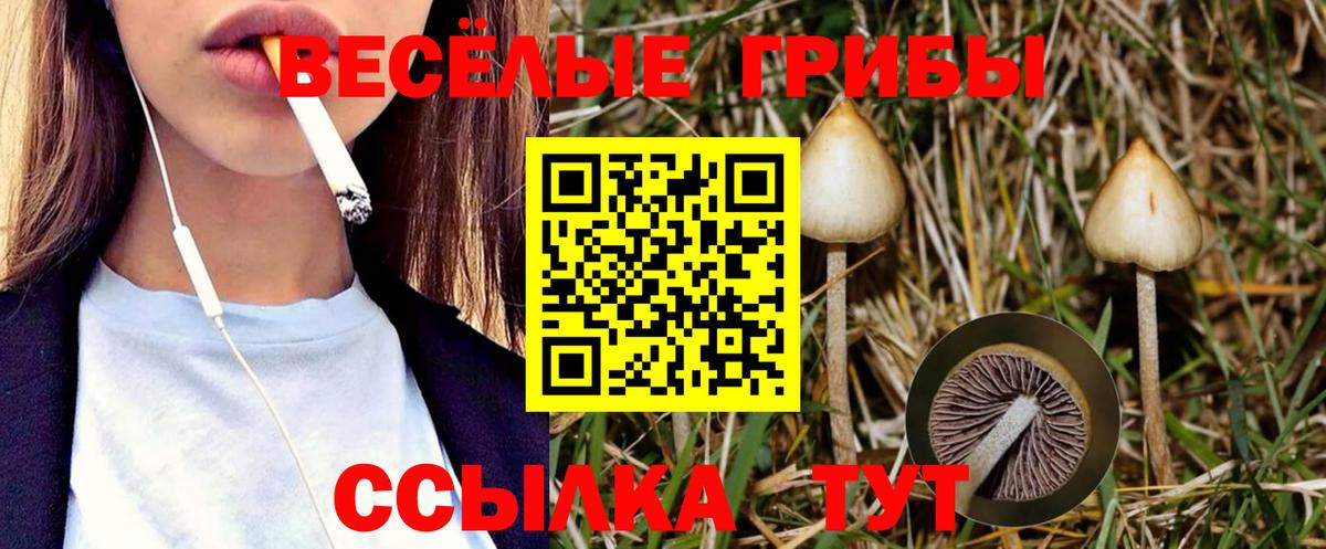 Галлюциногенные грибы мухоморы Карталы